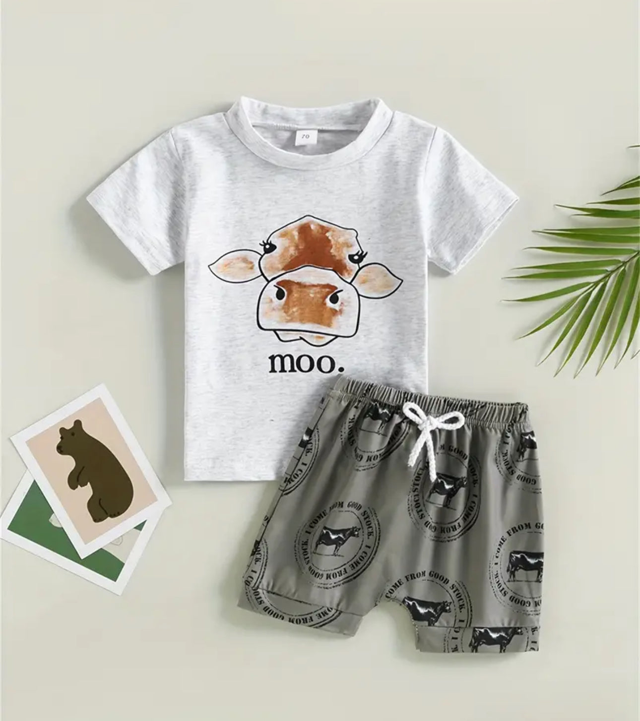 Toddler Boys Farm Animal set