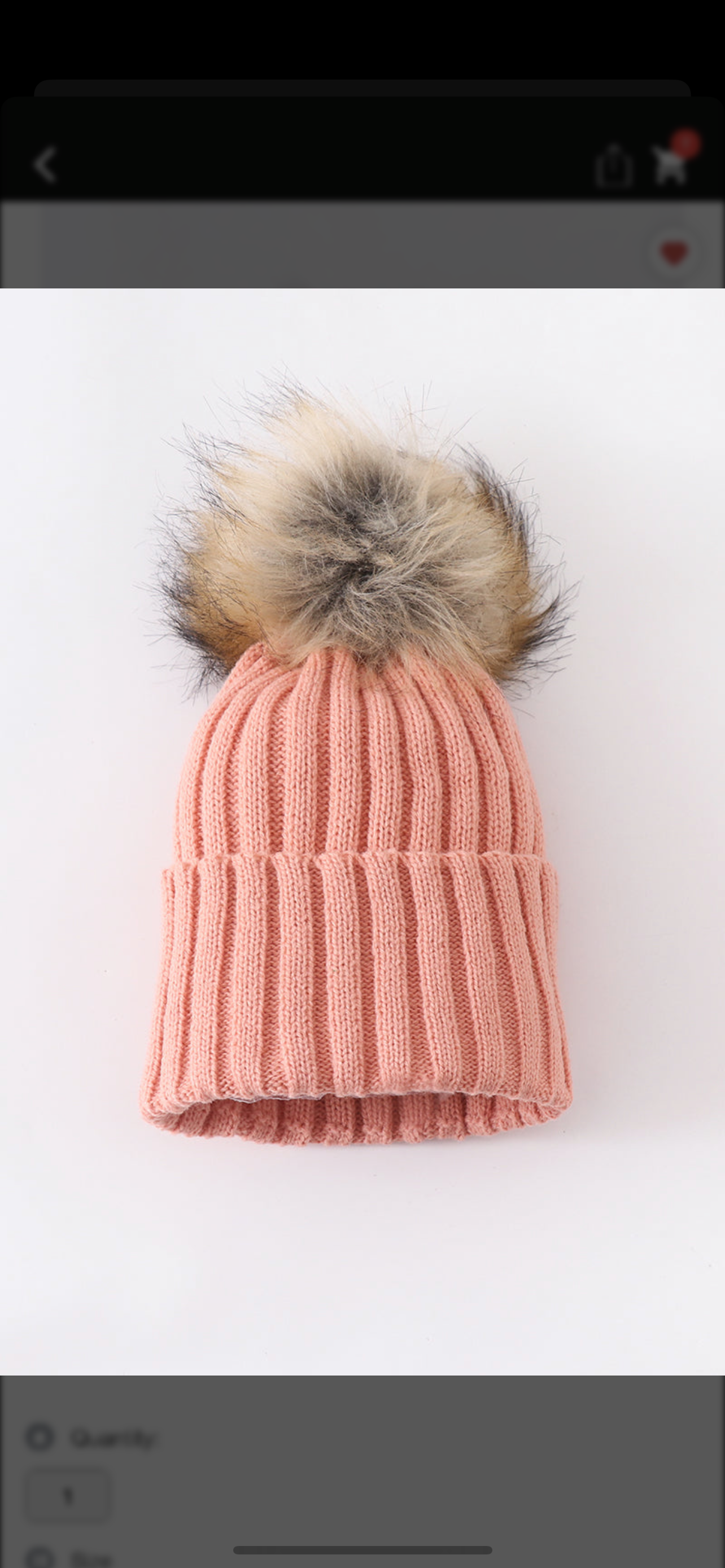 Coral Knit Pom Pom beanie