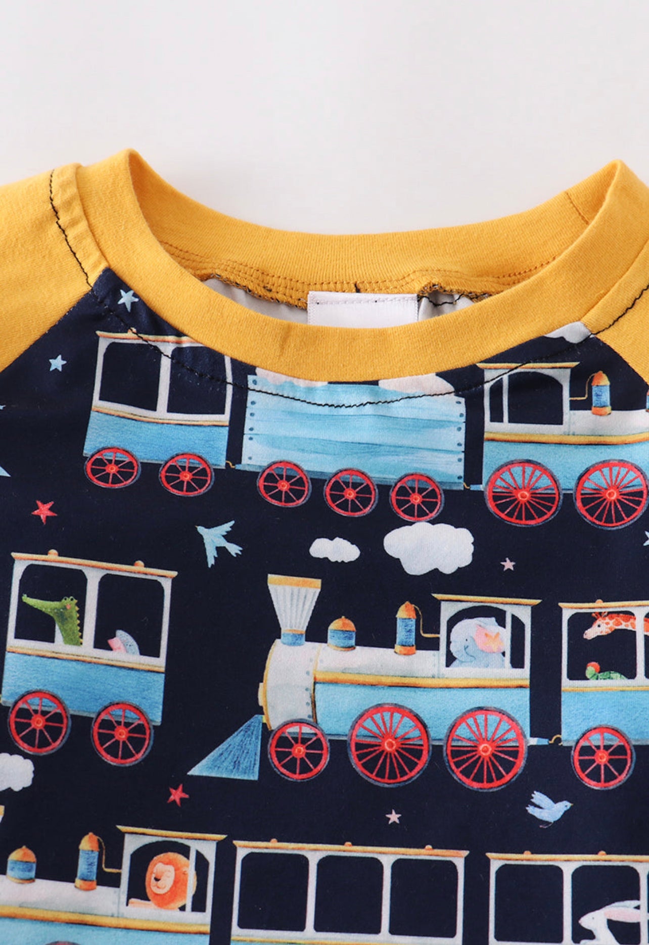 Boys Circus Train shirt